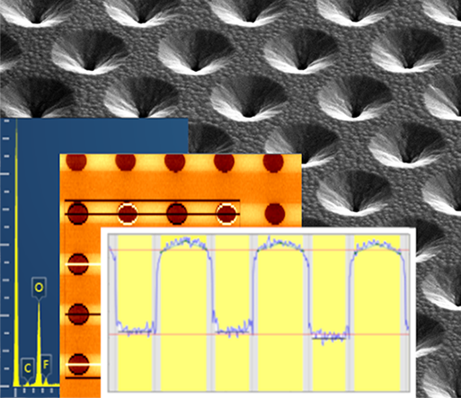 Inline Metrology and Process Data.