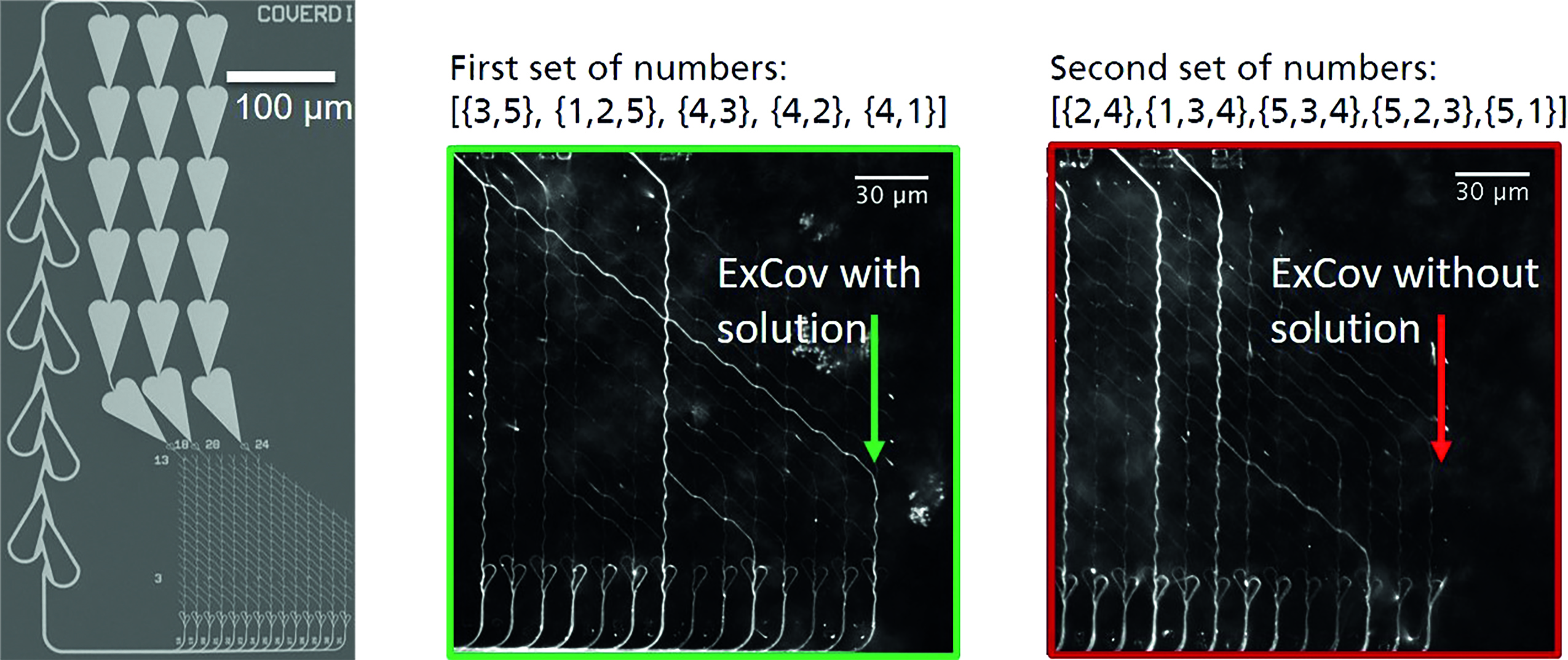 ExCov-Netzwerk, um eine Kombination von Mengen, die die ganzen Zahlen {1,2,3,4,5} abdecken, zu finden.