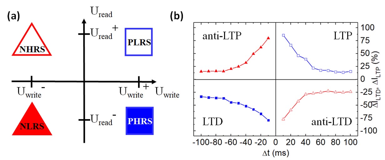  BFO-Memristor mit Vorderseitenelektrode und Rückseitenelektrode mit komplementär rekonfigurierbaren Barrierenhöhen zur (a) digitalen und (b) analogen Datenverarbeitung. (a) Die komplementären, digitalen Widerstände (PLRS, PHRS) und (NHRS, NLRS) werden in Abhängigkeit von den beiden Logikinput-Variablen (Polarität der Schreibspannung Uwrite, Polarität der Lesespannung Uread ) definiert. (b) Die komplementären, analogen Widerstandszustände (LTP, LTD) und (anti-LTP, anti-LTD) werden in Abhängigkeit von den beiden Logikinput-Variablen (Polarität des Zeitversatzes t, Polarität der an der Vorderseitenelektrode und der Rückseitenelektrode angelegten Schreibspannung) definiert. Der logische Zustand (a) ‚0‘ oder ‚1‘ und (b) [0…1] bleibt nichtflüchtig im BFO-Memristor gespeichert.