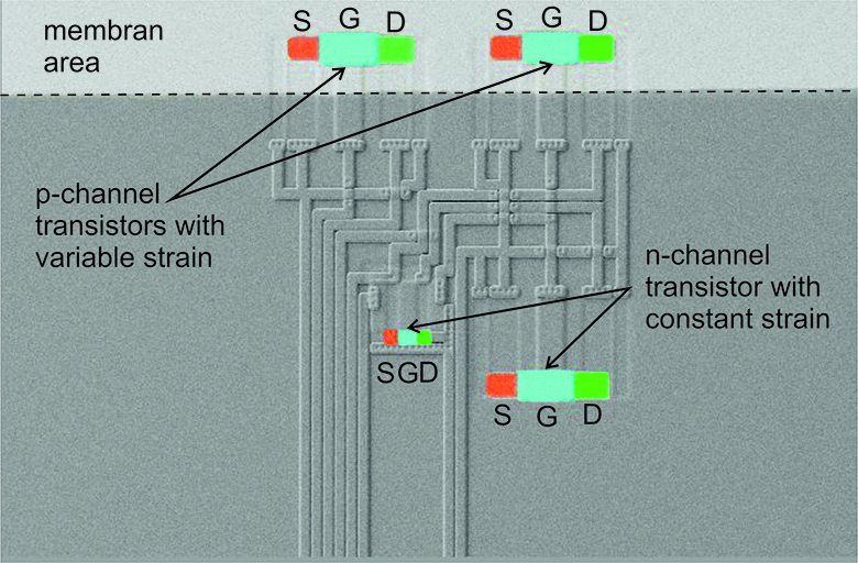 SEM-Aufnahme des stressempfindlichen Transistors in eine Halbbrückenschaltung.