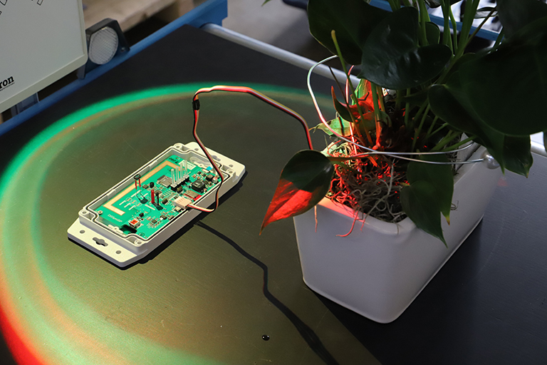 Lichtmessung durch das intelligente Sensorsystem am Beispiel Pflanzenproduktion.