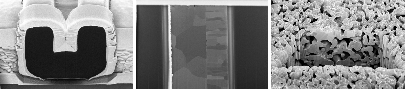 FIB images of different samples (wafer, section, coupon).