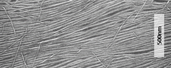Aligned CNTs on wafer Aligned CNTs on wafer.