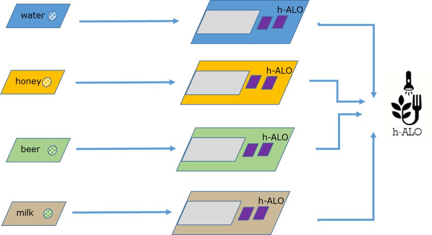 Schematic showing the modular h-ALO analysis system.