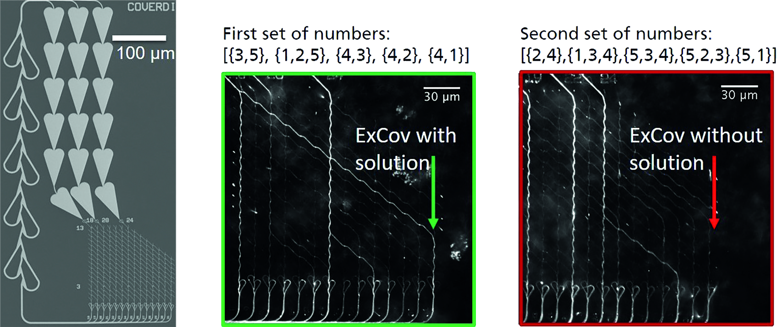 ExCov network to find a combination of sets covering the integers {1,2,3,4,5}.