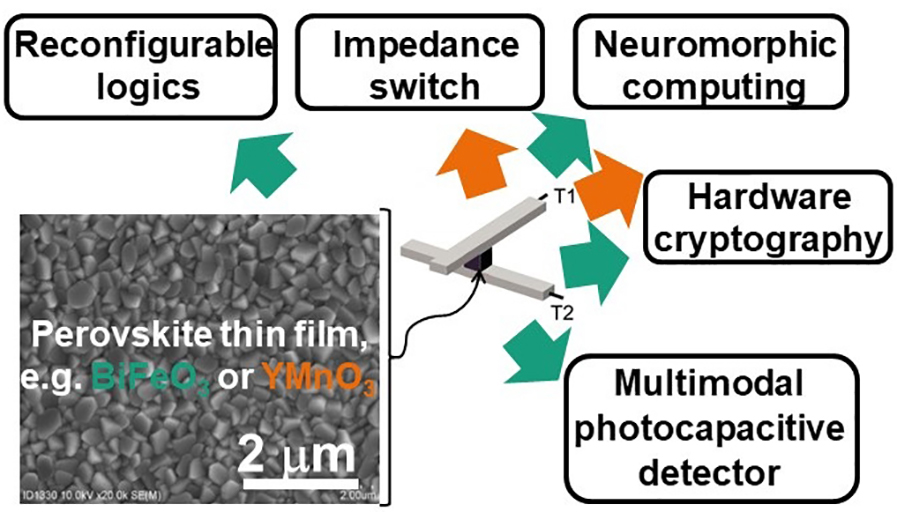 Scanning electron microscopy image of the surface of a BiFeO3 film in a BiFeO3-resistance switch with Bit line (T1) and Word line (T2) and schematic respresentation of possible applications of non-volatile, reconfigurable resistance switches.