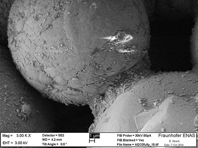 SEM images of the particle network and necks formed by capillary-bridging.