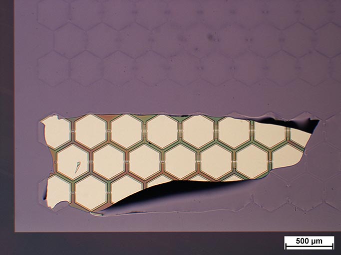Manually exposed ultrasonic cell electrodes. Manually exposed ultrasonic cell electrodes.