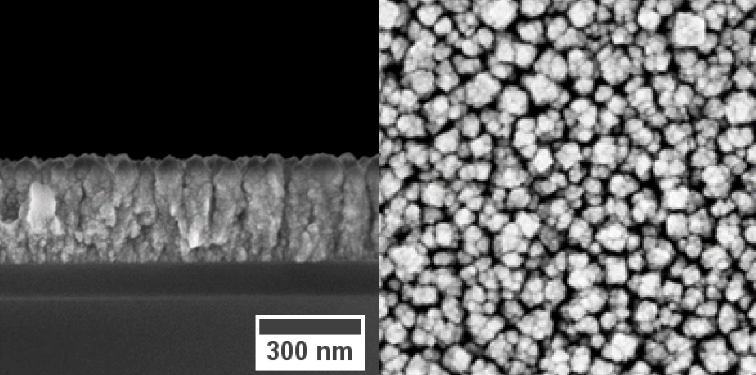 SEM image of a cobalt oxide layer.