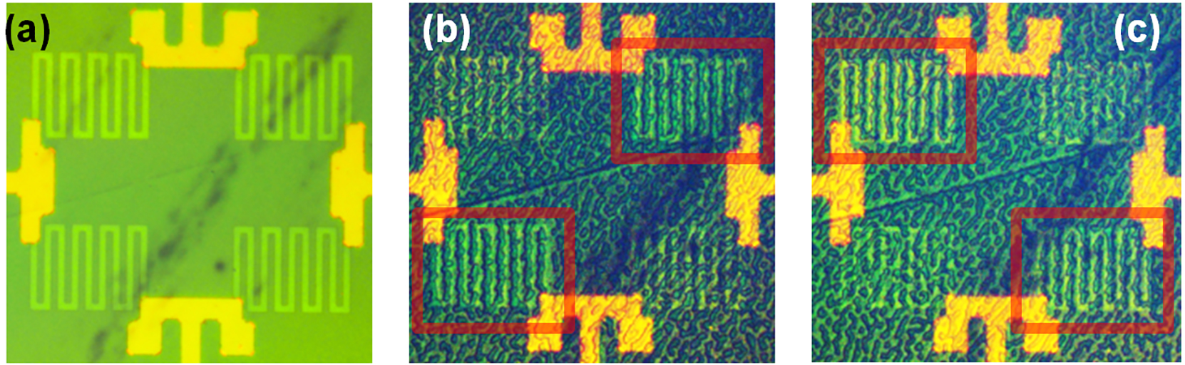 Laser-based magnetic patterning in magneto-optical visualization. By applying a suitable magnetic field, the laser-set magnetic axes become observable in terms of a slightly enhanced meander contrast: (b) bottom-left / top-right, (c) top-left / bottom-right, (a) initial state.