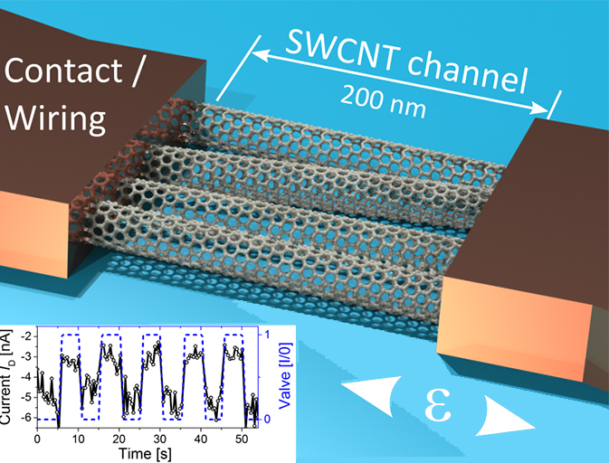 Scheme of the fabricated CNT sensor on top of a MEMS membrane and typical sensor response curve. Scheme of the fabricated CNT sensor on top of a MEMS membrane and typical sensor response curve.