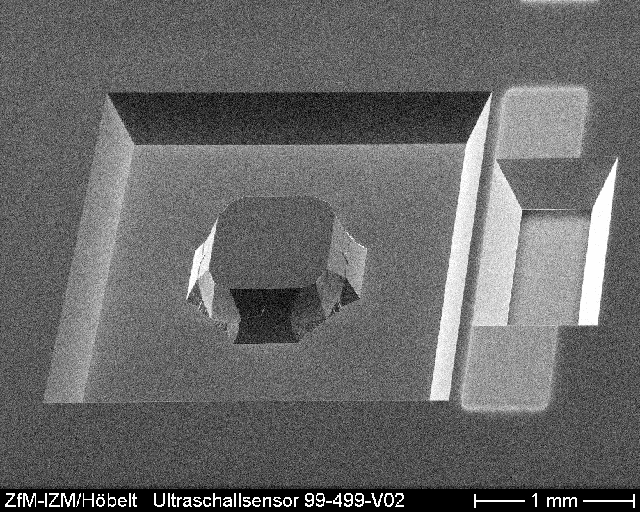 SEM view of the MEMS ultra sound sensor with the membrane, the rigid body in the center of the membrane and the contact areas.
