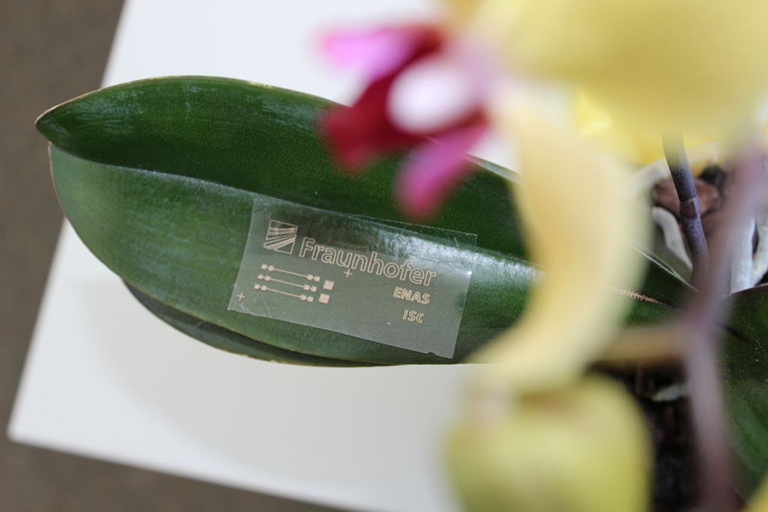 Fraunhofer ENAS cooperates within the project »bioElektron – Biodegradable Electronics for Active Implants« funded by the Fraunhofer-Gesellschaft and developes bio-degradable printed passive and active microelectronic components. Fraunhofer ENAS cooperates within the project »bioElektron – biodegradable electronics for active implants« funded by the Fraunhofer-Gesellschaft and developes bio-degradable printed passive and active microelectronic components.