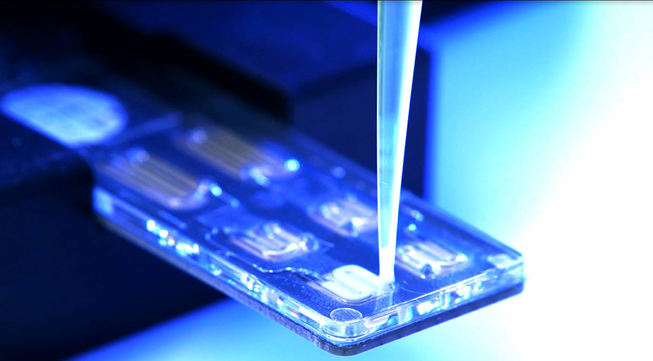 A milk sample is introduced into a microfluidic cartridge for analysis.