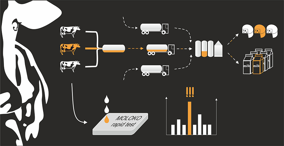 A novel test system for rapid and onsite analysis of food quality and safety parameters of milk are developed within the project MOLOKO. A novel test system for rapid and onsite analysis of food quality and safety parameters of milk are developed within the project MOLOKO.