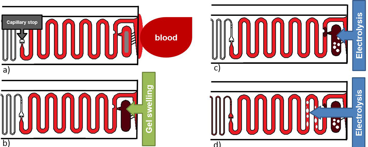 Schematics of the working principle. (a) capillary filling, (b) hydrogel swelling, (c) check valve formation, (d) pumping.